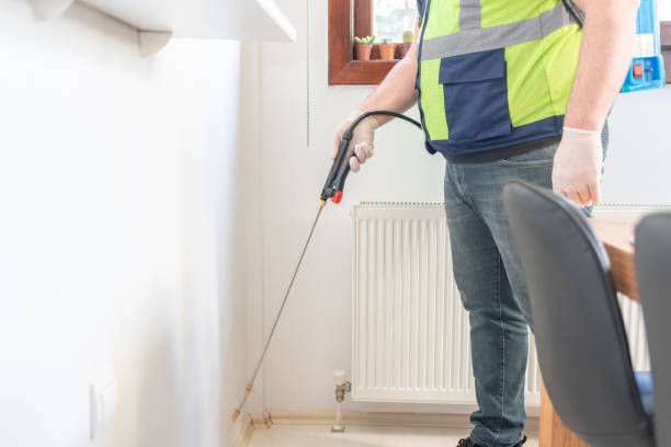 Best Mosquito Control Services  in Moenkopi, AZ
